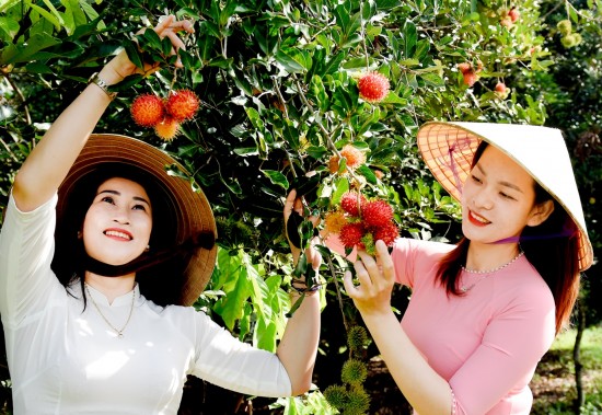 Nghĩa Hành mở cửa đón khách